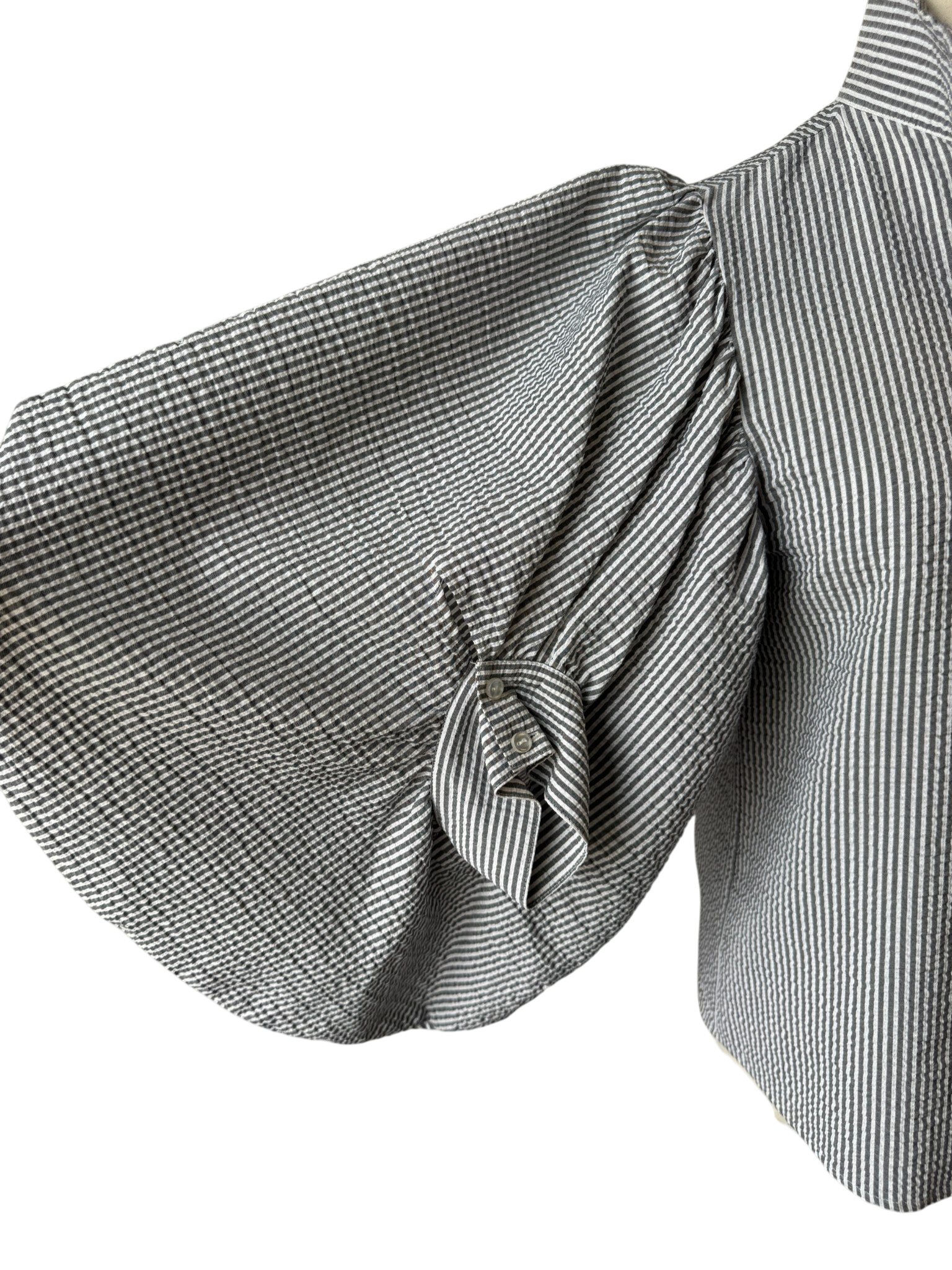 2 Rych Button-Front Seersucker Blouse with Balloon Sleeves