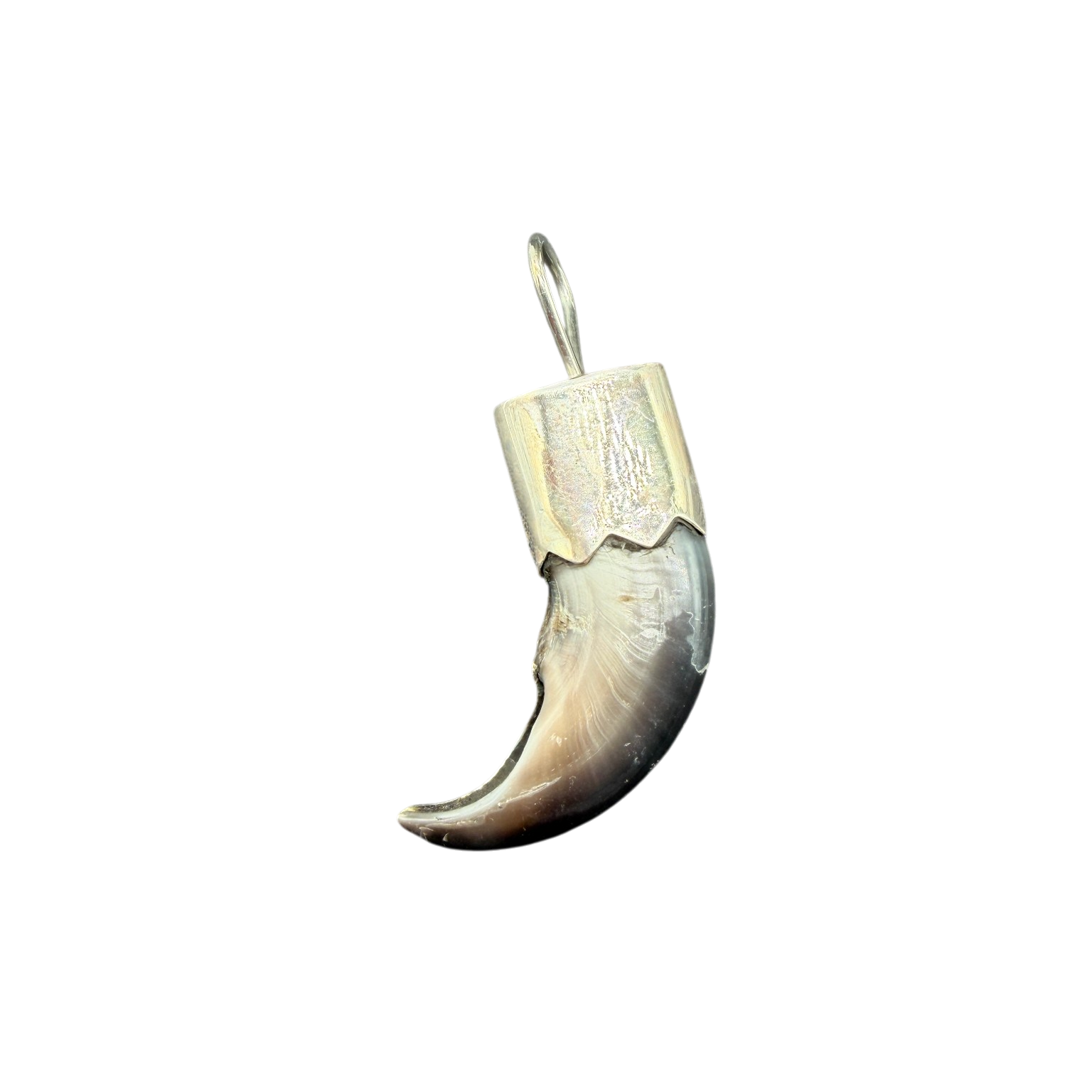 1970s Bear Claw Pendant with Sterling Silver Cap and Turquoise Accent