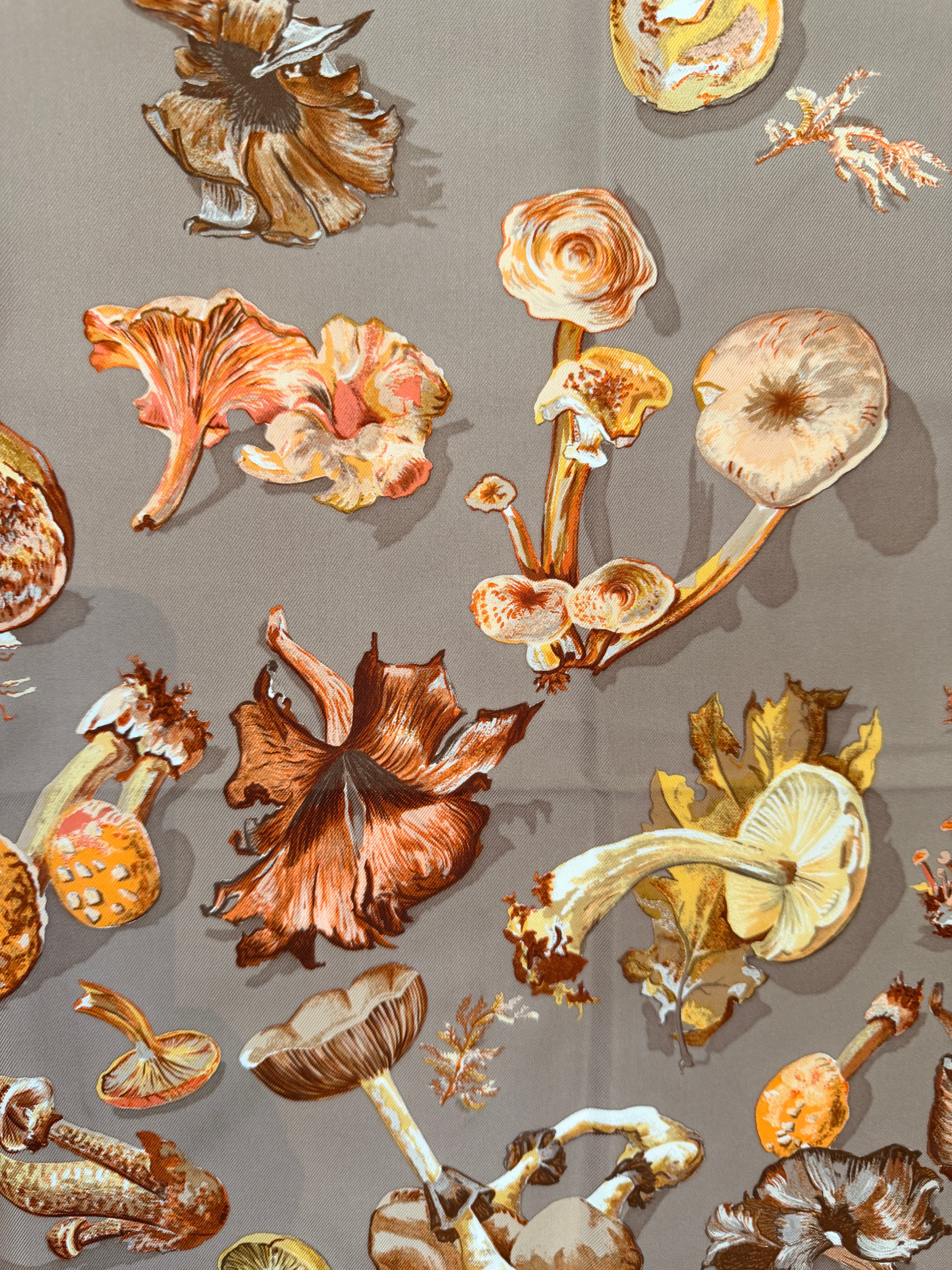 Hermès “Champignons” Silk Scarf