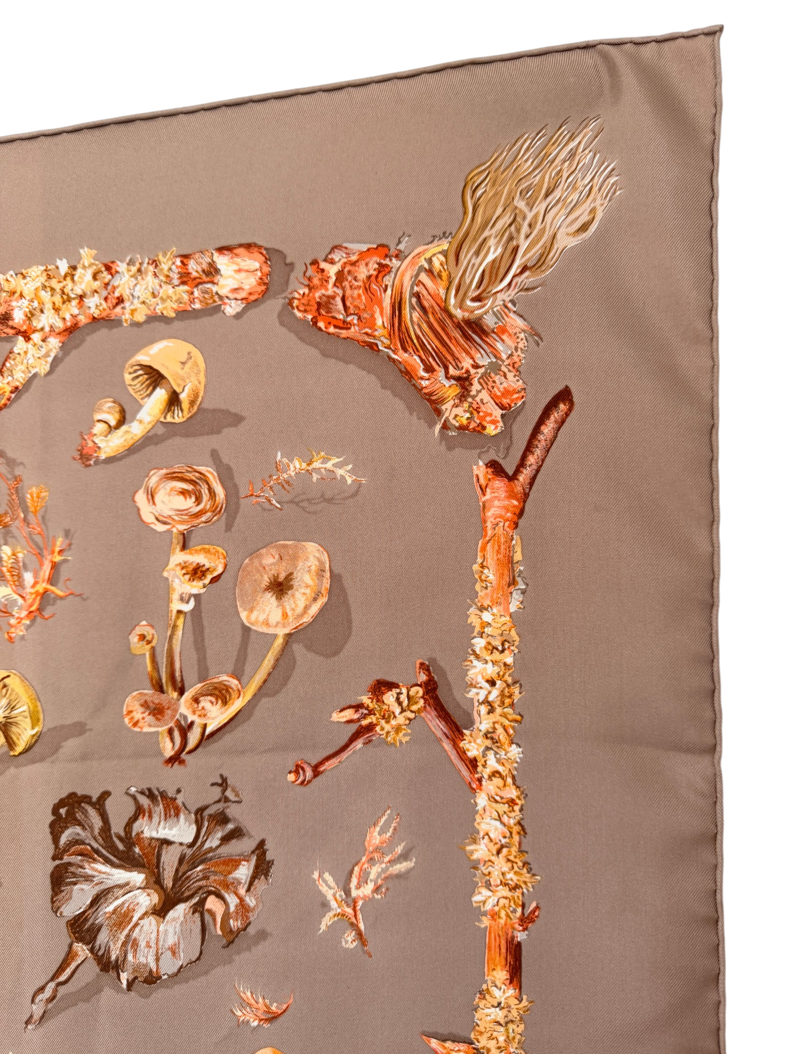 Hermès “Champignons” Silk Scarf