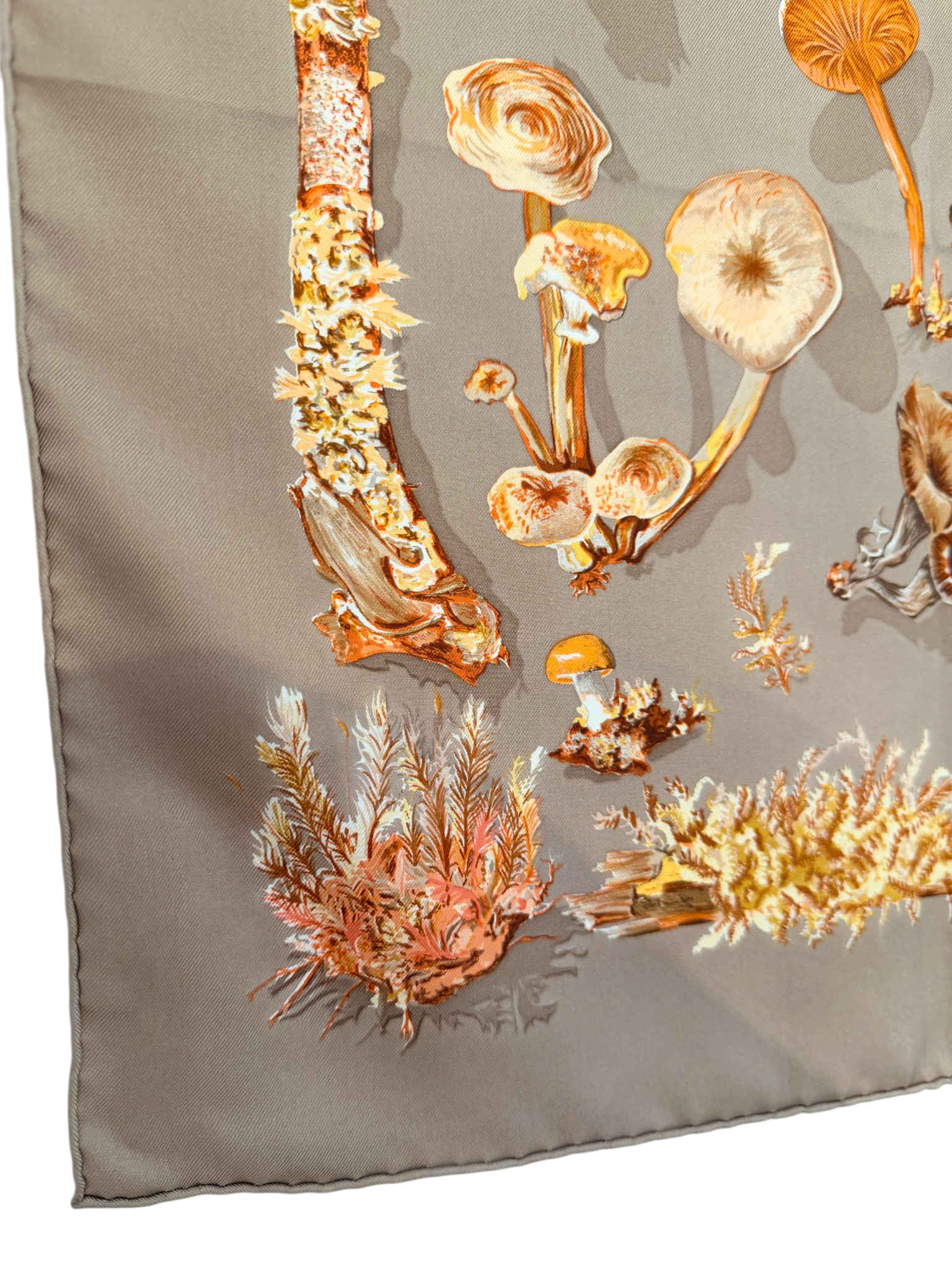 Hermès “Champignons” Silk Scarf