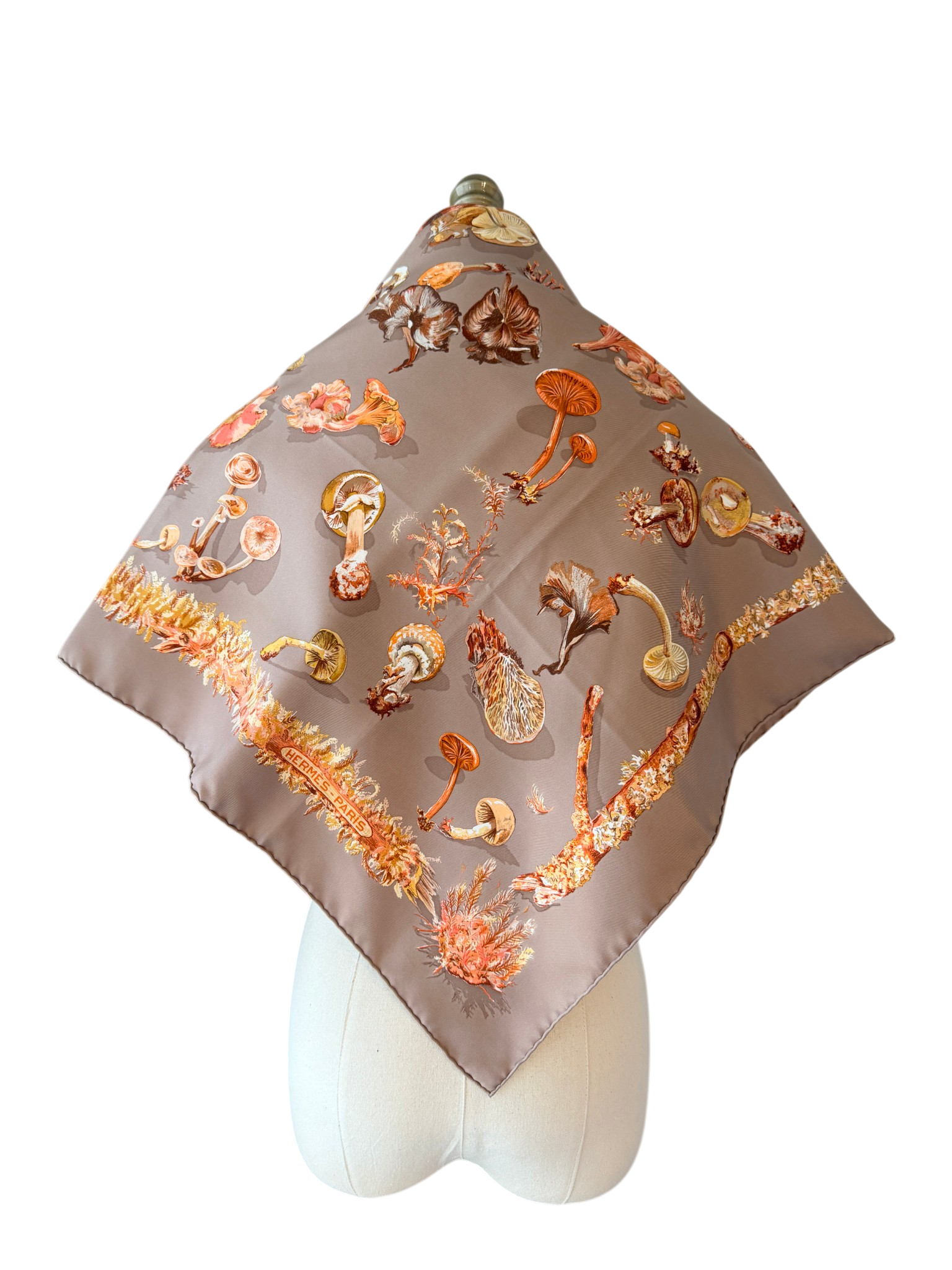 Hermès “Champignons” Silk Scarf
