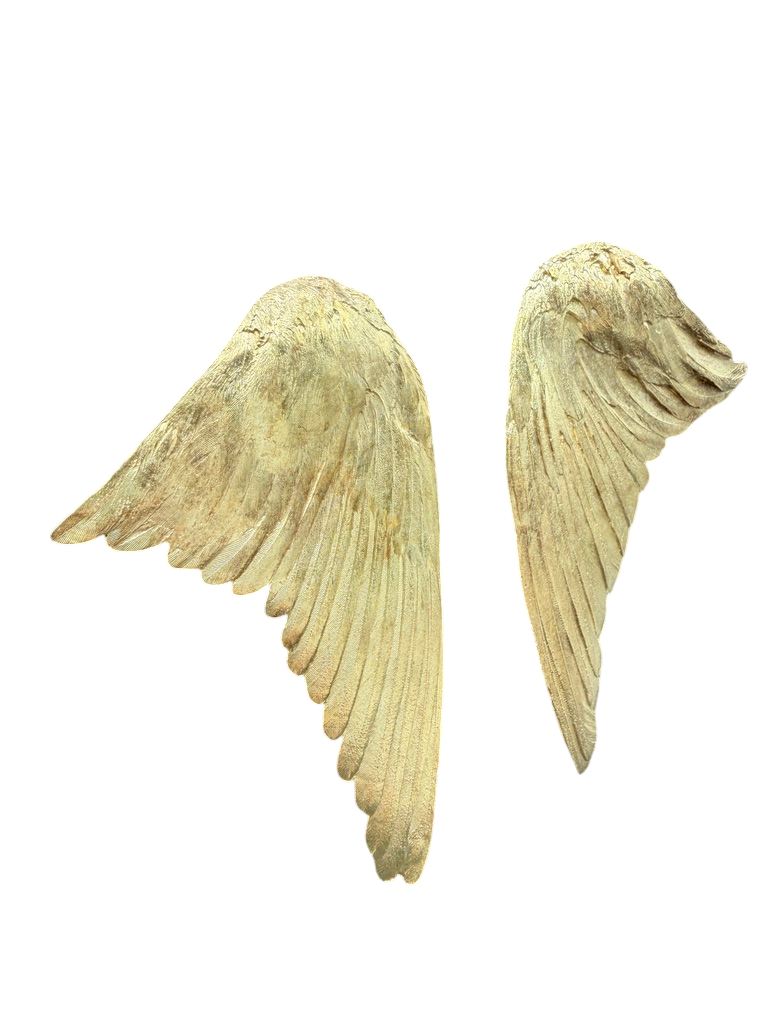 1986 Baker & Baker 14K Vermeil Wing Clip Earrings