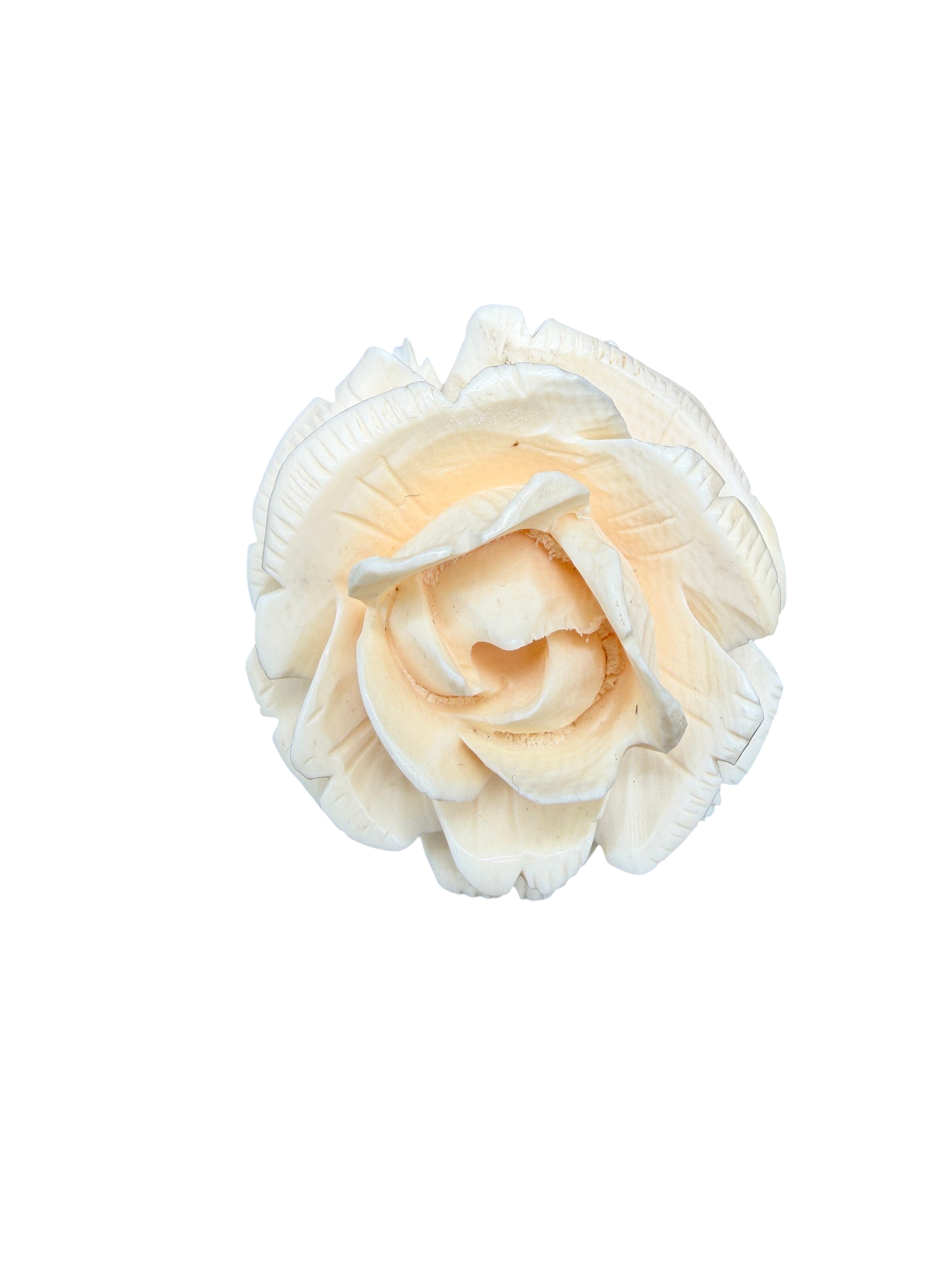 1940s Made in Germany Carved Bone Rose Brooch