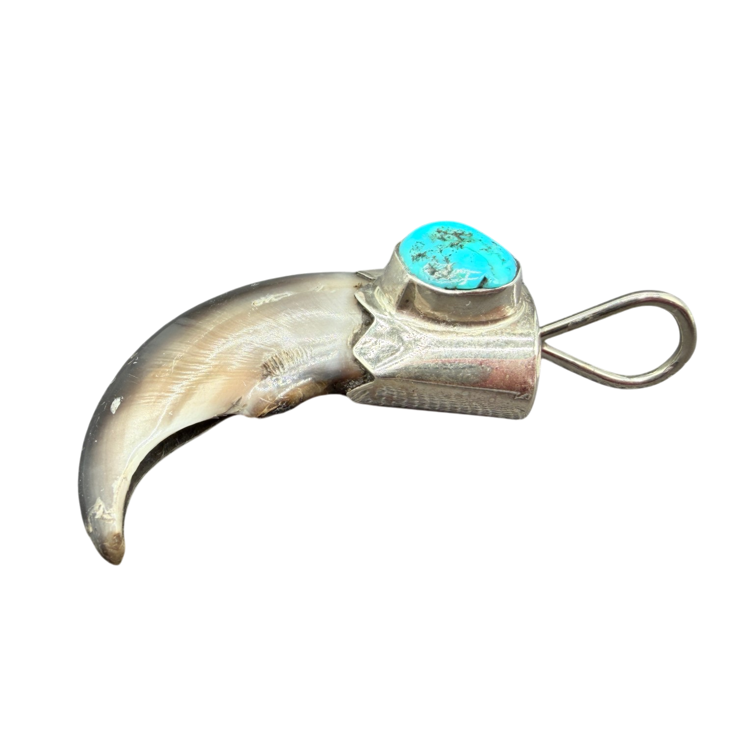 1970s Bear Claw Pendant with Sterling Silver Cap and Turquoise Accent