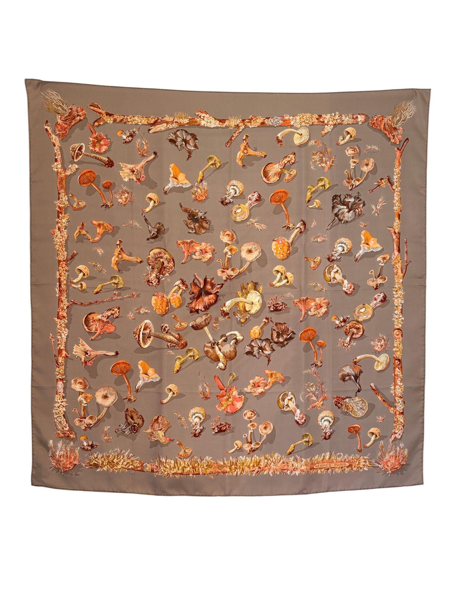Hermès “Champignons” Silk Scarf