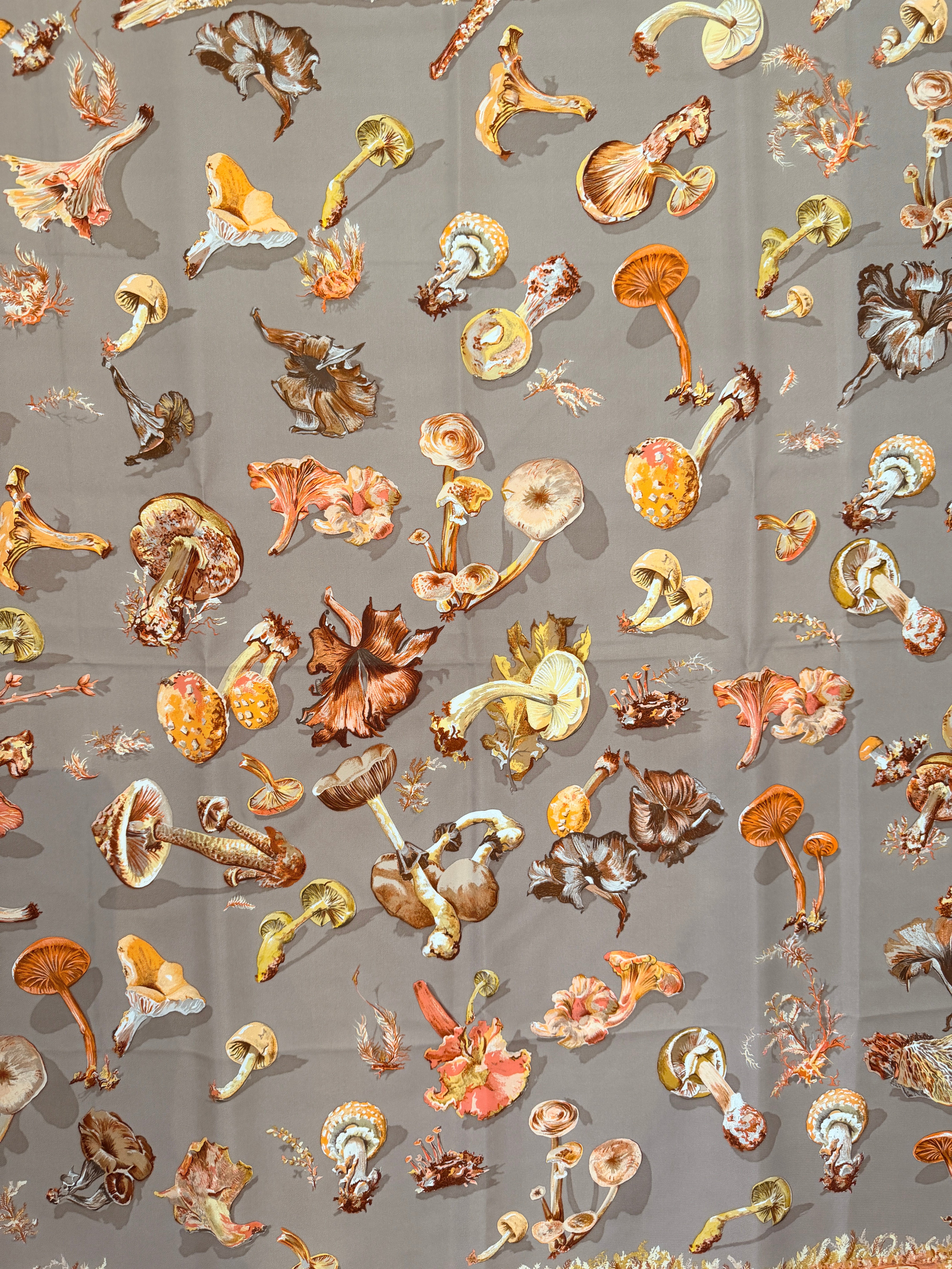 Hermès “Champignons” Silk Scarf