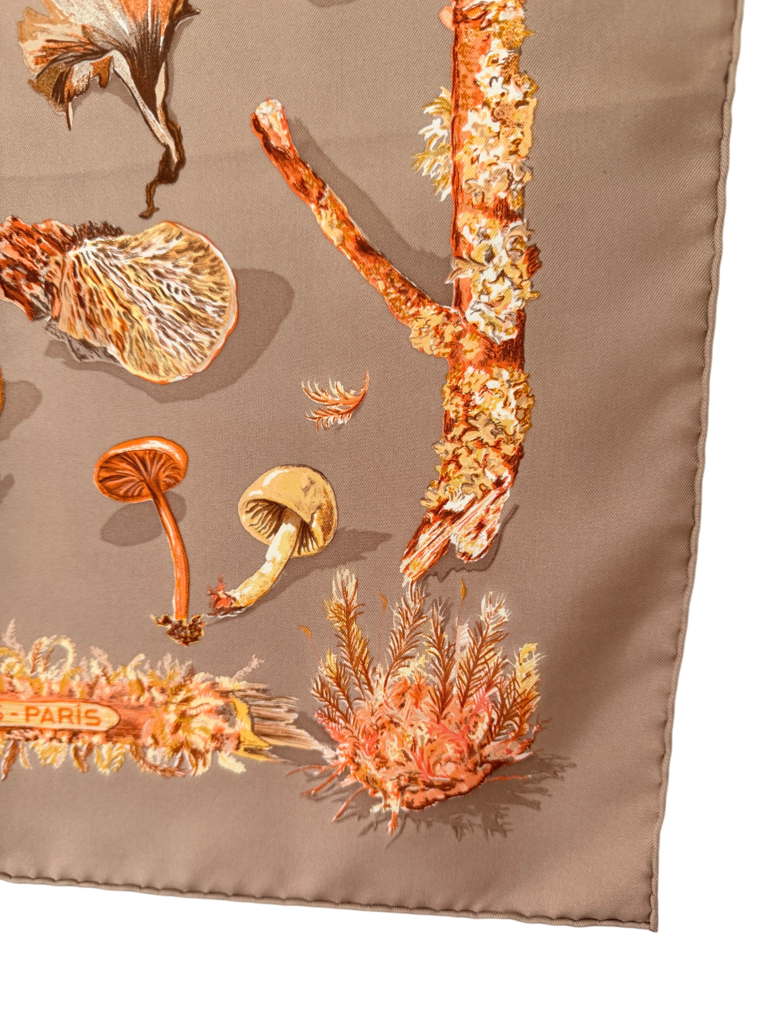 Hermès “Champignons” Silk Scarf