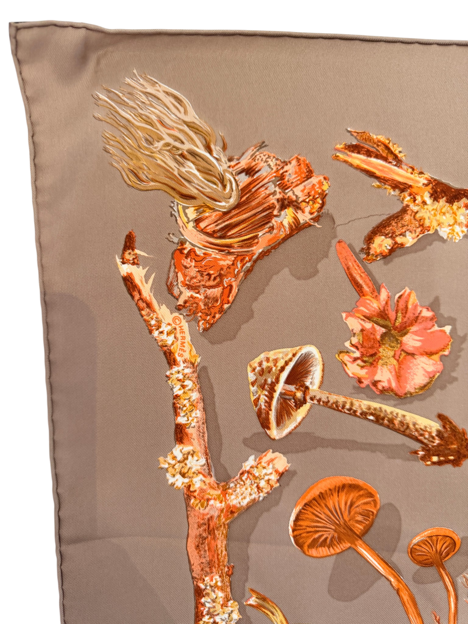 Hermès “Champignons” Silk Scarf
