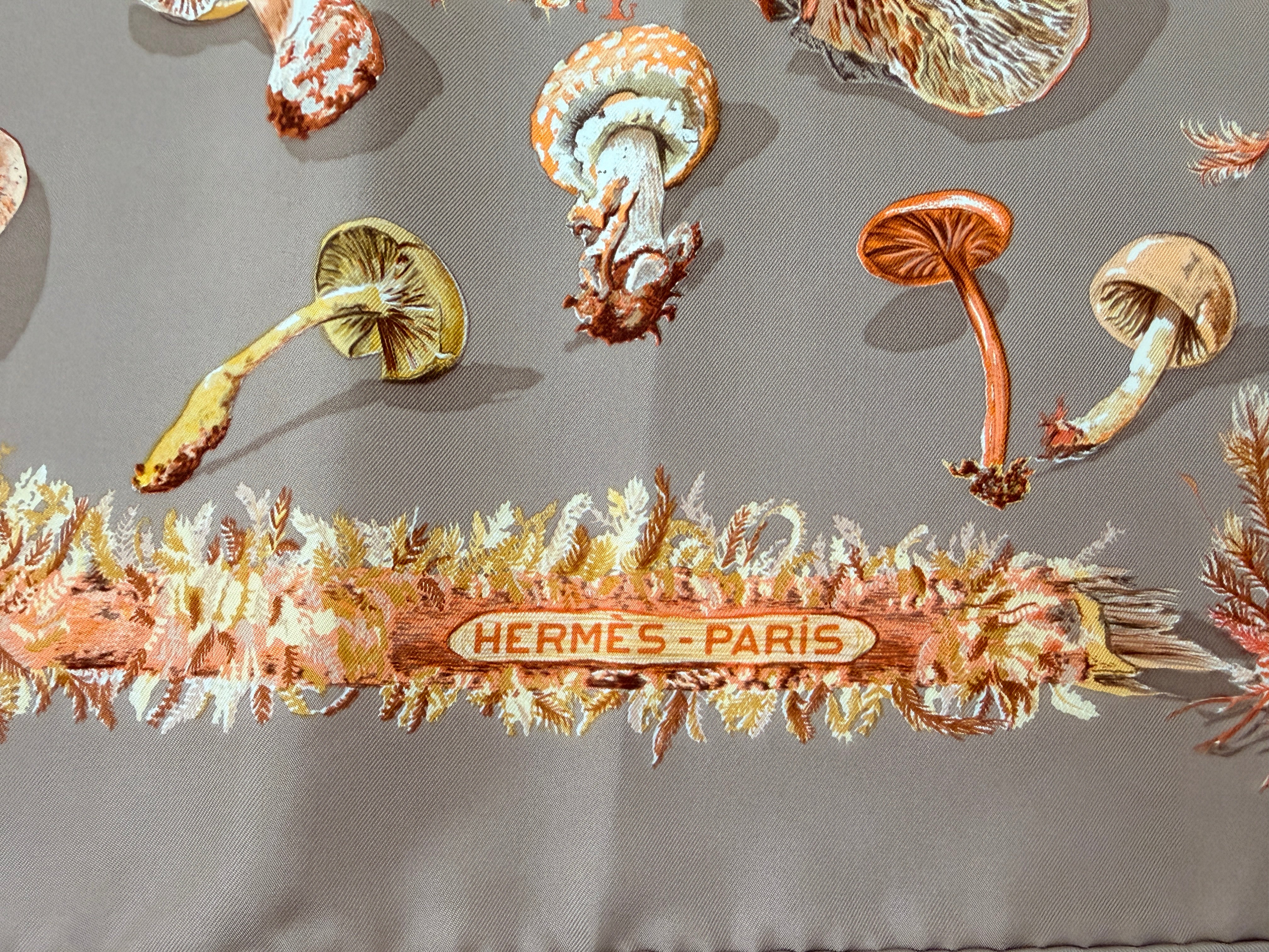 Hermès “Champignons” Silk Scarf